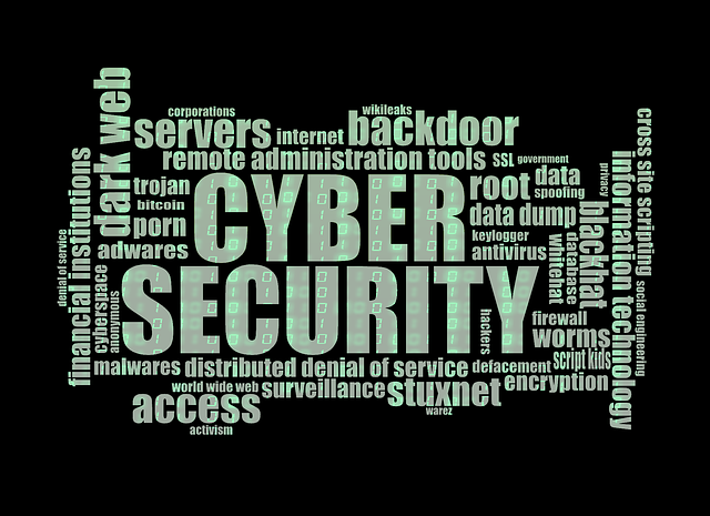 Cyber Security Trends
