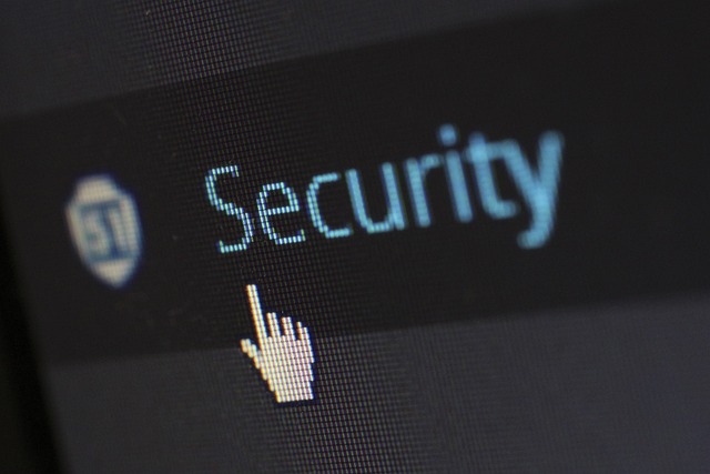 Secure your WordPress site