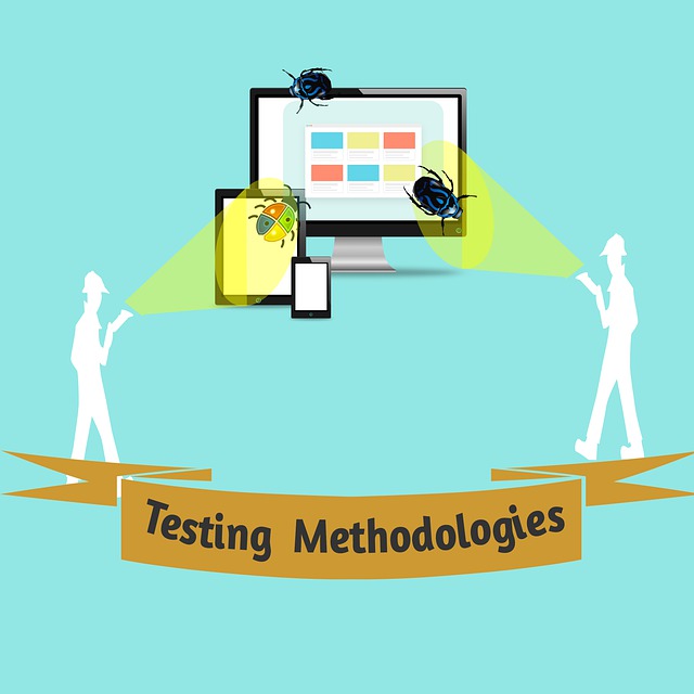 Software Testing