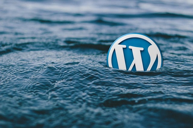 WordPress Security: 20 Ways to Keep Your Website Safe
